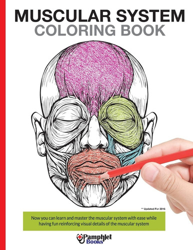 Libro: Livro Para Colorir Do Sistema Muscular: Agora Você Po