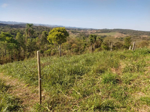 Imagem 25 de 30 de Chácara 42 Mil M2, Boa De Água Com Corrego, Casa Sede Com 5 Dormitórios, Toda Avarandada, Casa Caseiro, Piscina, Curral, Pasto, Pomar Em Formação - Ch00164 - 70147080