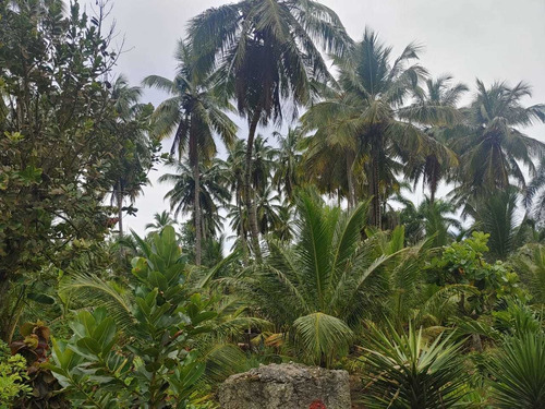 Se Vende En Nagua