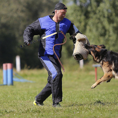 Ejercicio De Cinturón De Látigo De Entrenamiento De Perro