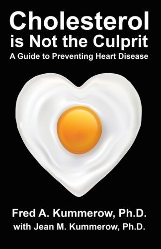 Cholesterol Is Not The Culprit A Guide To Preventing