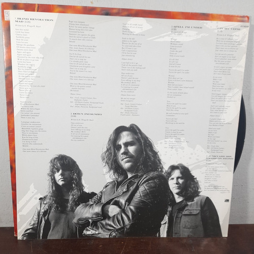 Imagem 3 de 8 de Vinil Lp Vinger Pull Com Encarte Ótimo Estado