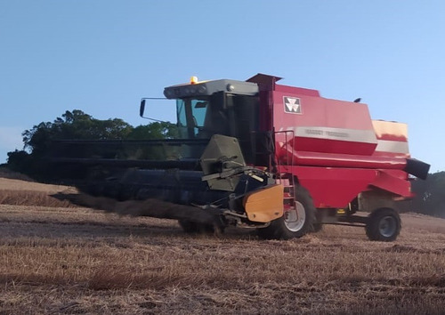 Colheitadeira Massey Ferguson 32 Ano 2008