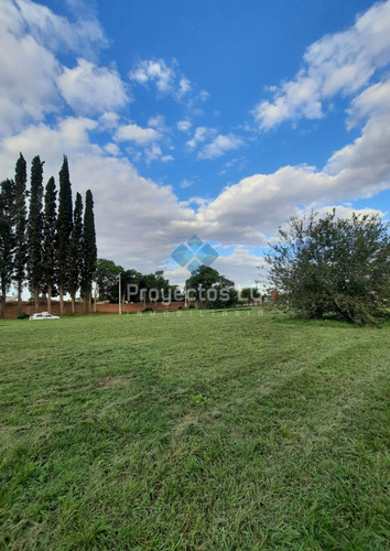 Terrenos/lotes En Venta- Colonia Caroya (con Escritura)