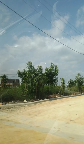 Solares Listo Para Construir En Villa Mella