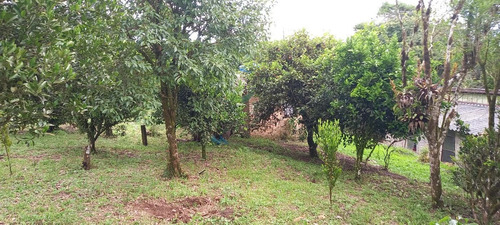 Imagem 13 de 15 de Chácara Para Venda Em São José Dos Pinhais, Área Rural De São José Dos Pinhais - Cha6607_1-2422868