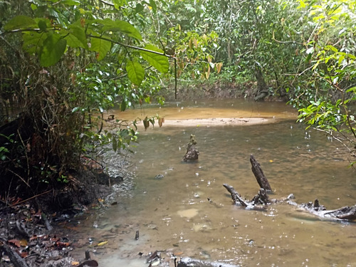 Terreno 29.500 Metros Pertinho Da Praia Com Rio E Linda Mata. Escriturado - Cumuruxatiba - Preço De Ocasião!