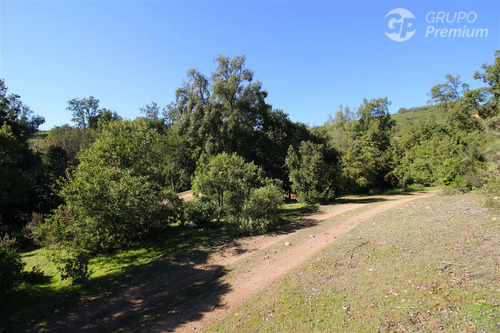 Excelente Parcela En Venta En Quilpué