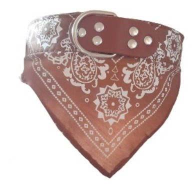 Collar Perros Grandes Cowboy Talla L + Plaquita Grabada