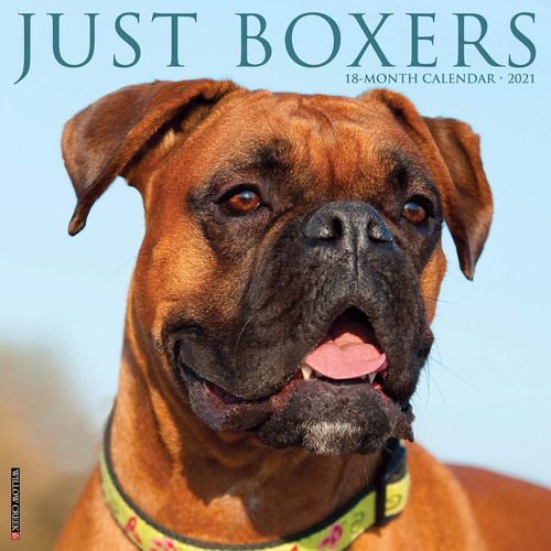 Libro:  Just Boxers 2021 Wall Calendar (dog Breed Calendar)