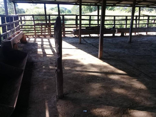 Imagen 6 de 16 de Finca En Falcon En Venta.lf