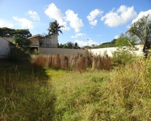 Imagem 2 de 2 de Terreno - 7307 - 32663404