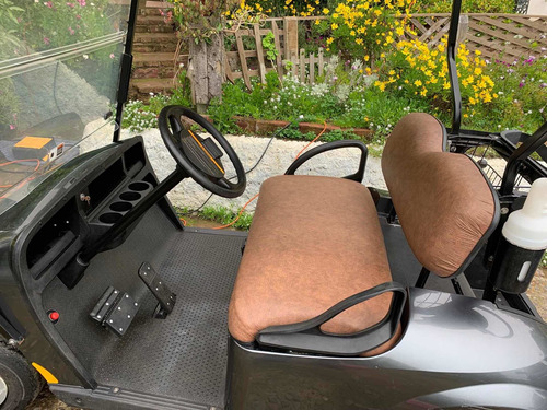 Imagen 8 de 18 de Carro De Golf