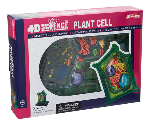 Famemaster 4d-science Modelo De Anatomia De Celulas Vegetale