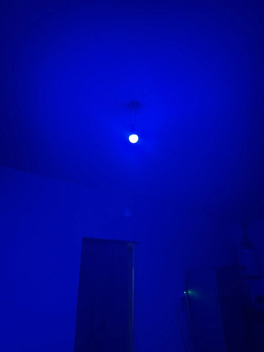 2909482169