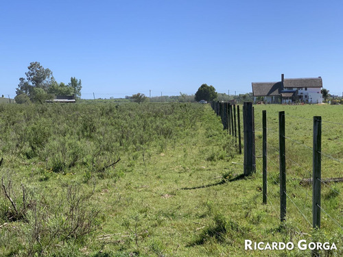 Venta Chacra Terreno Campo Canelones Villa Guadalupe Ruta 5