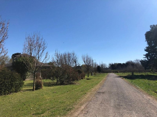 Imagen 1 de 5 de Lote | Las Casuarinas