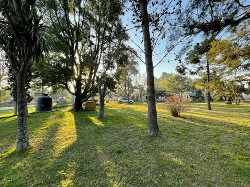 Imagen 10 de 25 de Venta Quinta Casa Berisso; Piscina; Forestacion; Quincho ; Parrilla