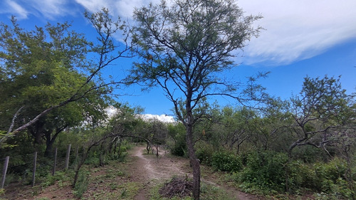 Hermoso Terreno 1 Hectárea En La Población, San Javier, Traslasierra.  Dueño Directo!