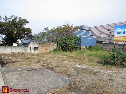 Terreno Comercial Excelente No Estreito! - 22983