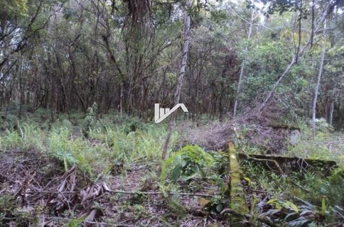 Imagem 10 de 13 de Terreno Para Chácara Com 7000 M² A 4km Do Rodovia