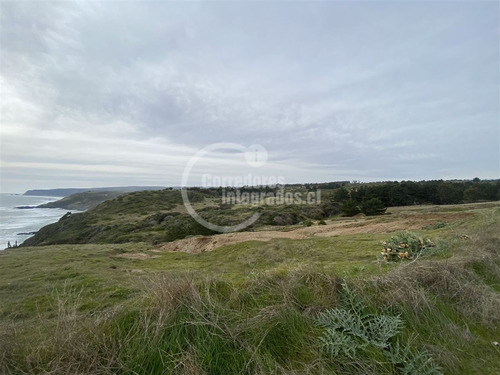 Sitios Venta, Entre Topocalma Y Pichilemu, 5.000 M2, Vista