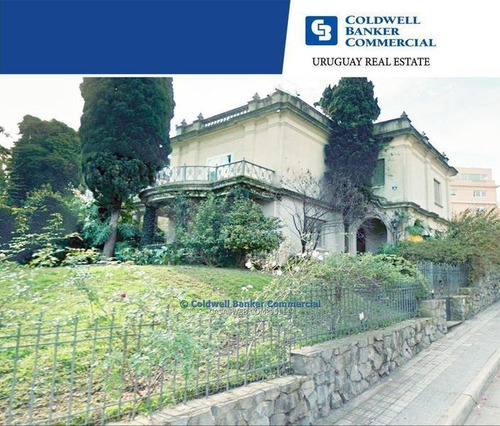 Oficina Alquiler Parque Rodó Barrio Jardín