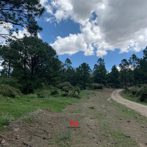 Vendo Lote En Villa Berna