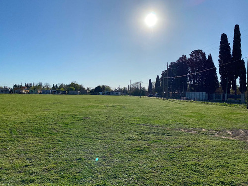 Terreno En Venta En Lobos