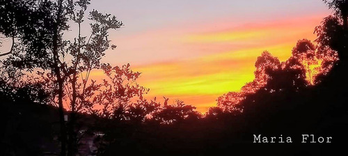 Imagem 16 de 18 de Sitio 21.000 M2 Em Cidade Turistica J.04