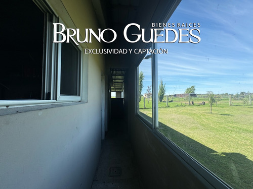 Se Alquila Chacra Con Salón De Eventos Y Canchas De Futbol Rincón Del Cerro Montevideo Rural