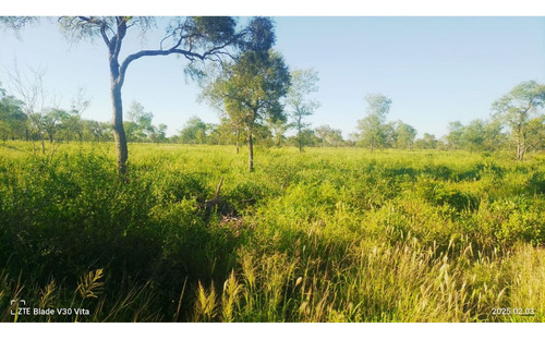 Venta De Campo Ganadero 1.200 Has Figueroa, Santiago Del Estero