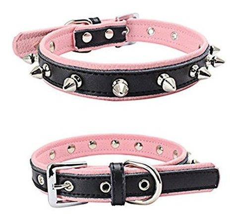 Avenpets Genuine Leather Padded Dog Collar With One Jwr9l