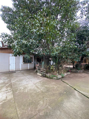 Sitio En Venta En Curicó
