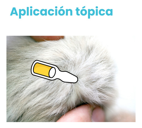 Pipeta Antipulgas Contra Pulgas Y Garrapatas Perro Y Gato