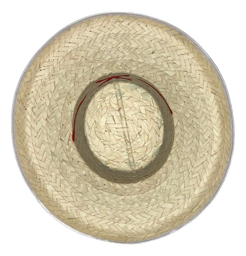 5 Sombrero Michoacano Palma Adulto Liston Mexicano