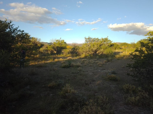 Imagen 6 de 28 de T056pa Amplios Terrenos De 1.350 M2 En Panaholma, A 300 Mts Del Río