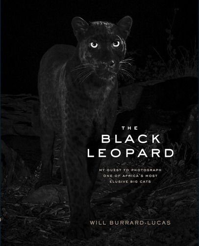 Libro: The Black Leopard: My Quest To Photograph One Of Most