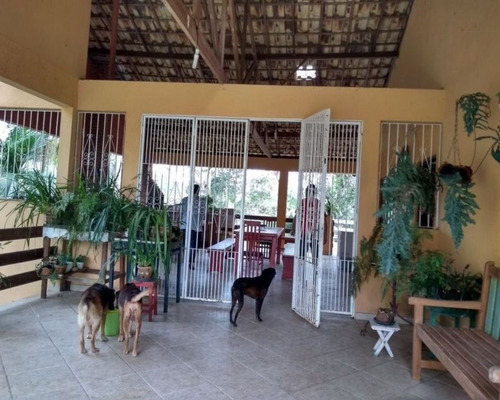 Chacara - 04598 - 33229228