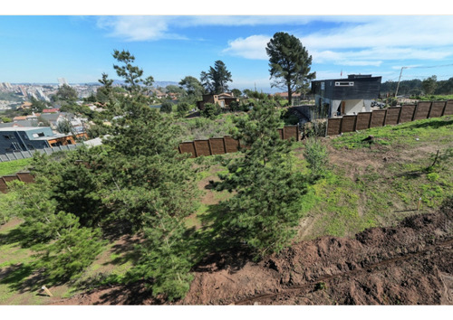 Proyecto Único En Los Pinos, Reñaca