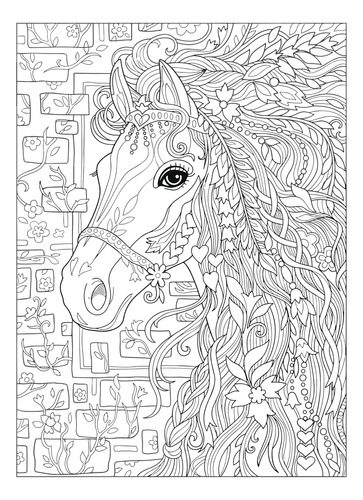 Canvas Caballo Para Colorear Con Pinturas Acrílicas 