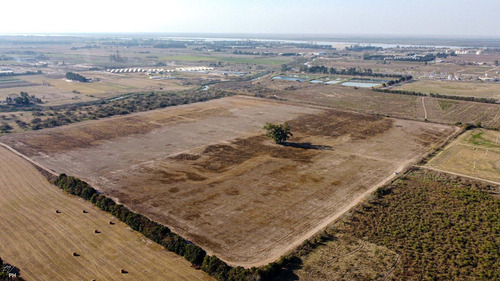 Imagen 2 de 5 de Campo En Venta Para Desarrollo En Arroyo Seco