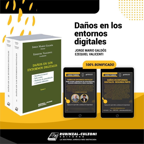 Daños En Los Entornos Digitales (2 Tomos)