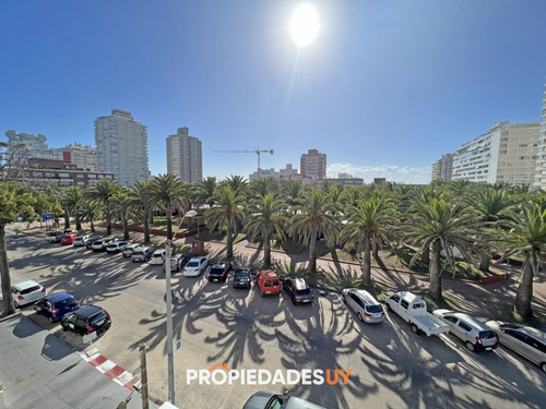 Imagen 5 de 24 de Dto Frente A Plaza De Los Artesanos, 2 Dorm