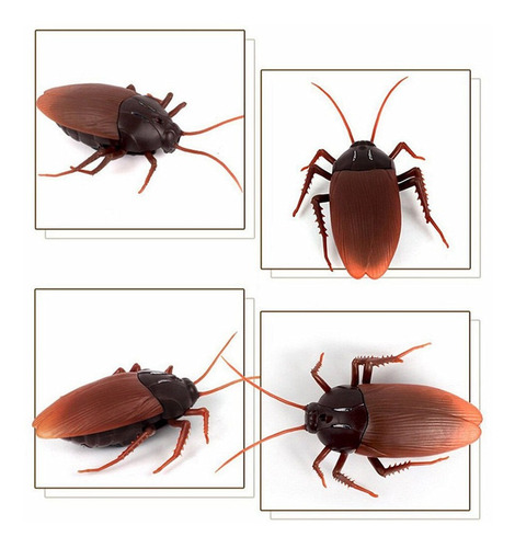 Simulación Araña Hormigas Cucarachas Juguete Eléctrico Rc To