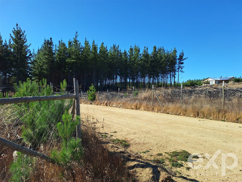 Sitio En Venta En Pichilemu.