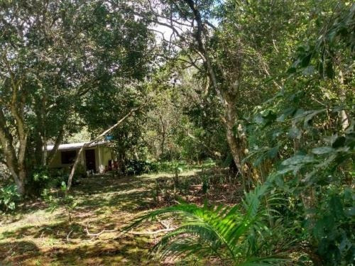 Chácara C/ 01 Dormitório Em Itanhaém,confira!! 7460 J.a