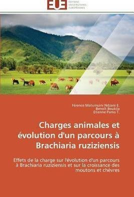 Charges Animales Et Volution D'un Parcours Brachiaria Ruz...