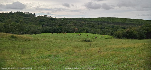 Imagem 13 de 15 de Fazenda Para Venda Em Barra Do Ribeiro, Douradilho - Barra Do Ribeiro - Rs, 3 Dormitórios, 2 Banheiros - 4010_1-1822734
