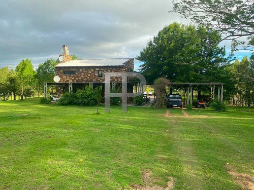 Imagen 2 de 13 de Chacra En Venta Pueblo Edén 3 Dorm, 5 Has #1650